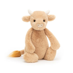 Bashful Cow Medium