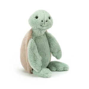 Bashful Turtle Medium