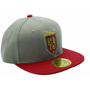 Harry Potter Gryffindor Snapback Cap