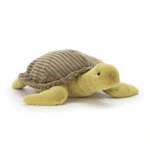 Terence Turtle