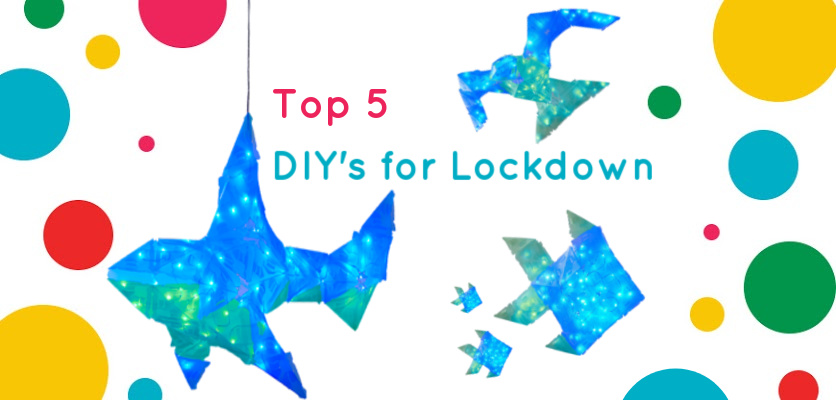 Top 5 DIY Toys for Lockdown