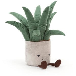 Amuseable Aloe Vera Big