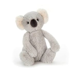 Bashful Koala Medium