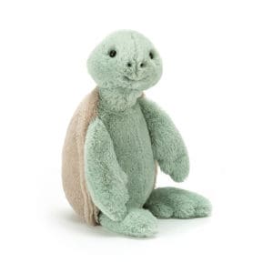 Bashful Turtle Small