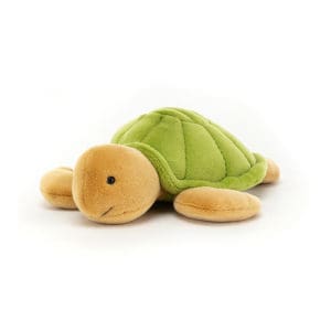 CeeCee Turtle Little
