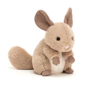 Cheeky Chinchilla Sandy