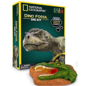 Dinosaur Dig Kit