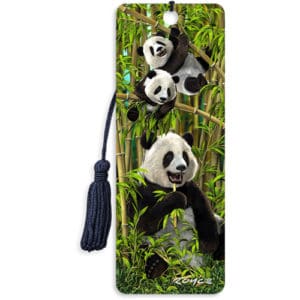 3D Bookmark: Pandas