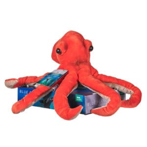 *B Grade* BBC Blue Planet 25cm (10
