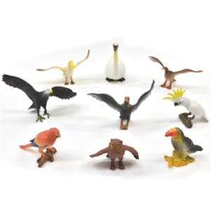 Bird world 9pc Set