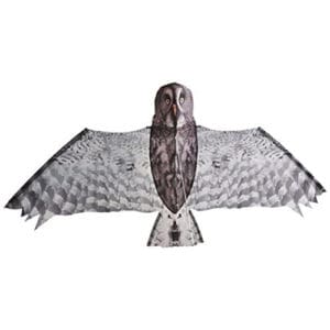 Brookite Grey Owl Kite