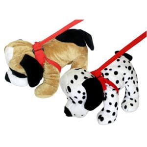 Pedigree Dog on Lead