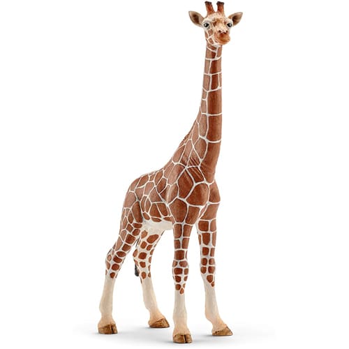 Schleich Giraffe, Male