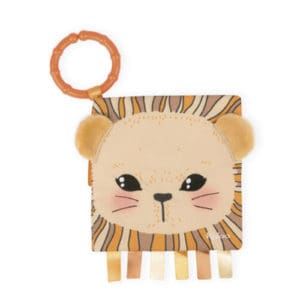 Activity Book - the Curious Lion