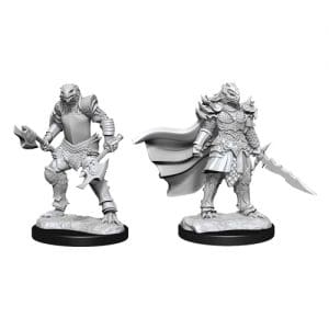 D&D: Nolzur's Marvelous Unpainted Miniatures (Wave 15): Dragonborn Fighter Female