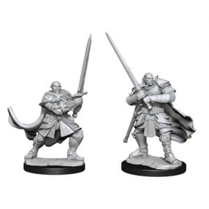 D&D: Nolzur's Marvelous Unpainted Miniatures (Wave 15): Half-Orc Paladin Male