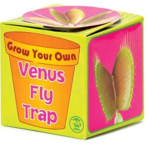 *B Grade* Grow Your Own Venus Fly Trap