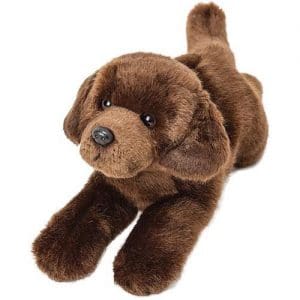 *A Grade* Resting Chocolate Labrador