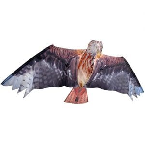 Brookite Red Kite