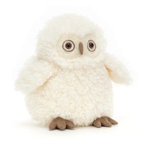 Apollo Owl