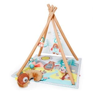 Skip Hop Camping Cubs Activity Gym