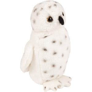 Small Snowy Owl