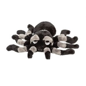 Tarantula - Jumbo Sid