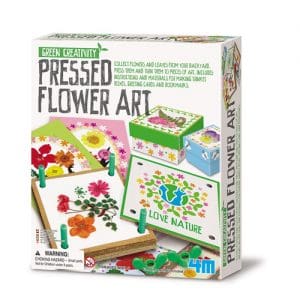 Green Creativity - Pressed Flower Art
