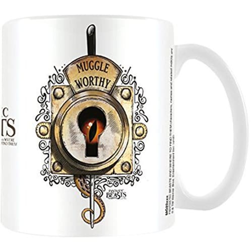 Muggle Worthy Mug | Toys | Toy Street UK