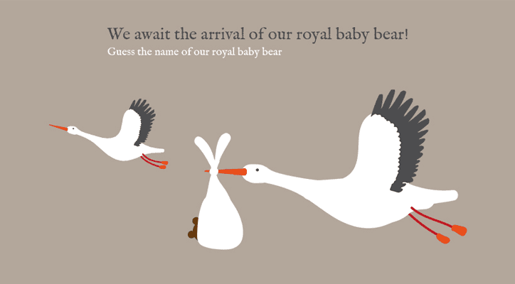 Our Royal Bear Is On The Way