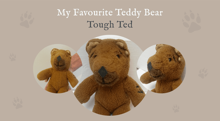 Tough Ted - My Favourite Teddy Bear