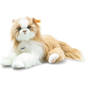 Princess Cat