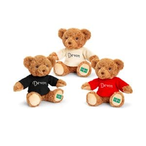 18cm Keeleco Devon Bears 3 Assorted (One Supplied)