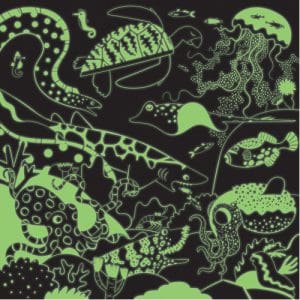 Hape Glow in the Dark Ocean Life Puzzle
