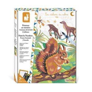 Paint by Numbers Forest Animals