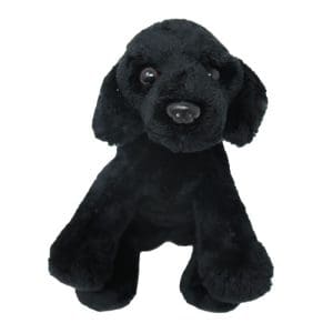 *A Grade* Sitting Black Labrador