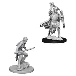 D&D Nolzur's Marvelous Unpainted Miniatures: Female Elf Fighter