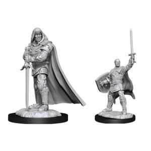 D&D Nolzur's Marvelous Unpainted Miniatures: Human Paladin Male (Wave 13)
