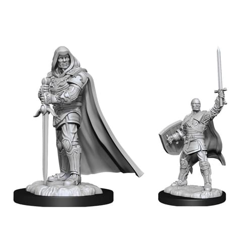 D&D Nolzur's Marvelous Unpainted Miniatures: Human Paladin Male (Wave 13) D&D Nolzur's Marvelous Unpainted Miniatures: Human Paladin Male (Wave 13)