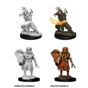 D&D Nolzur's Marvelous Unpainted Miniatures: Male Human Druid