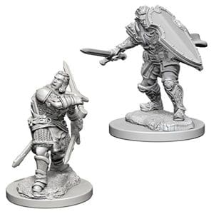 D&D Nolzur's Marvelous Unpainted Miniatures (W12) - Male Human Paladin