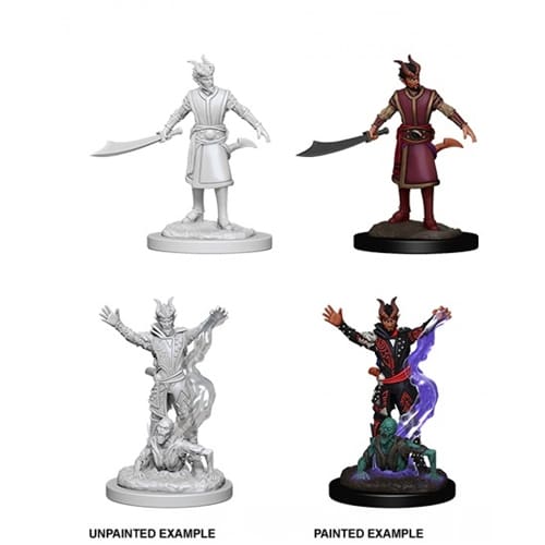 D&D Nolzur's Marvelous Miniatures - Male Tiefling Sorcerer