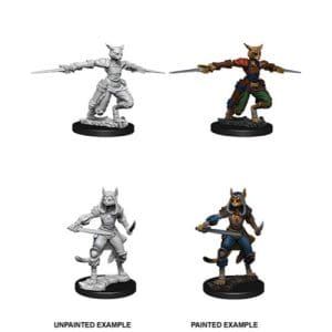 D&D Nolzur's Marvelous Unpainted Miniatures (W9): Female Tabaxi Rogue