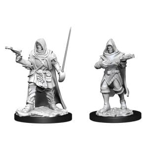 D&D Nolzur's Marvelous Unpainted Miniatures (Wave 13): Human Rogue Male