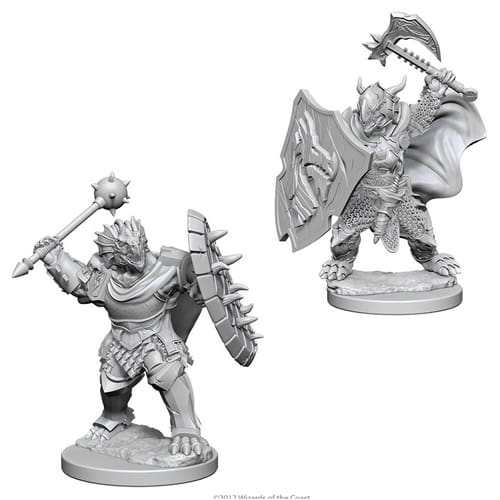 D&D Nolzur's Marvelous Unpainted Miniatures (Wave 4): Dragonborn Male Paladin