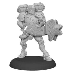 Paladin Aegis