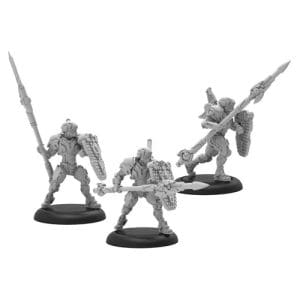 Paladin Defenders
