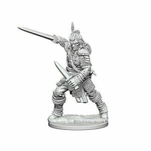 Pathfinder Deep Cuts Unpainted Miniatures (W1) - Human Male Fighter