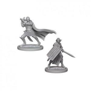 Pathfinder RPG: Deep Cuts Unpainted Miniatures: Elf Male Paladin (Wave 2)