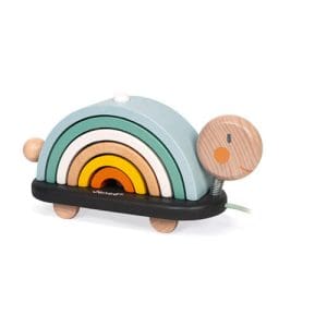 *B Grade* Sweet Cocoon Rainbow Turtle